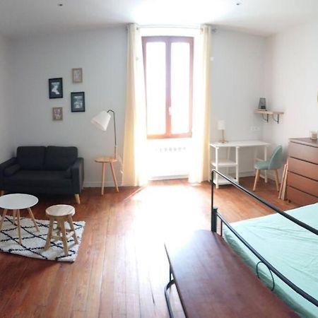 Le Beausejour - Cosy T2 - Business Ou We - Gare Lägenhet Bellegarde-sur-Valserine Exteriör bild